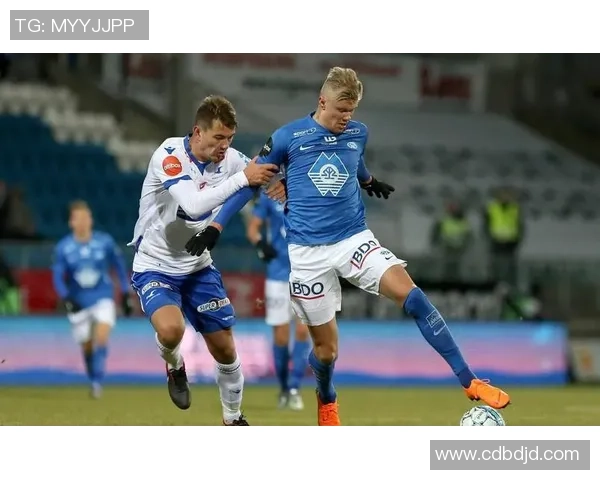 法甲2014赛季梅斯主场迎战尼斯精彩对决回顾与分析